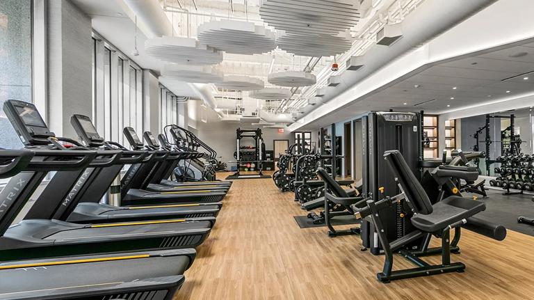 Modern gym with Matrix Fitness treadmills and strength machines in Matte Black, arranged on wood-style flooring with large windows and acoustic panels on the ceiling.